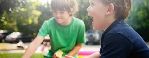 Social Skills Development